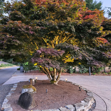 Kirkland Courtyard