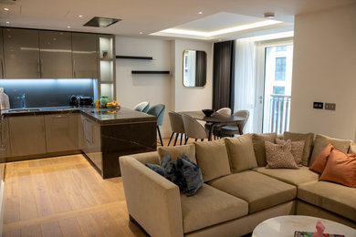 Modern living room in London.