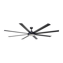 Ceiling Fans