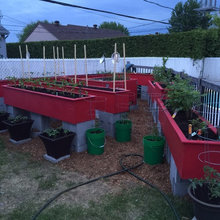 Landscape Ideas