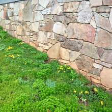 Groundcovers and Grass Alternatives