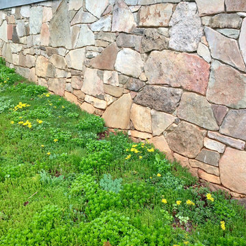Glendale: 20 years of Soul Conservation, near Somerset, VA