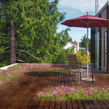 sidandsherry's backyard