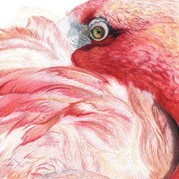 Prismacolor Wildlife Artwork