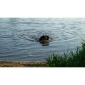 Linda O'Connor's photo