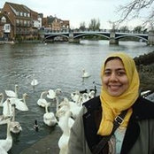 Foto von Zaib Kamran
