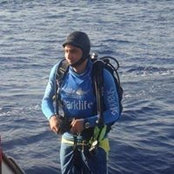 Khaled Bayoumi's photo