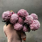 Elmarie Smit's photo