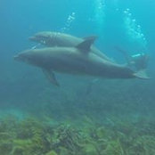 Kevin Jack's photo