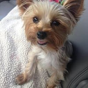 Cassie Naccarato's photo