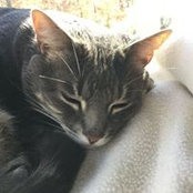 Connie Meharg's photo