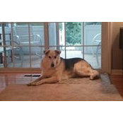 Laura Rackar's photo