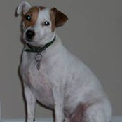 Maureen Dimmocks foto