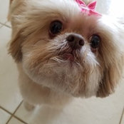 Nancy Borchers's photo