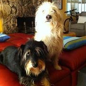 Casey Cabler's photo