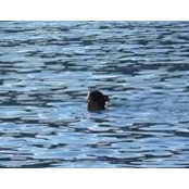 Rea Fraser's photo