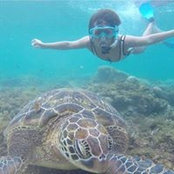 Loise Laine's photo