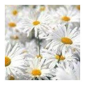 Sandy Corali's photo