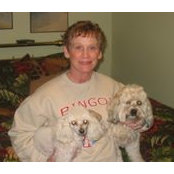Cindy Frerichs's photo
