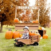 Laura Morgan's photo