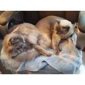 Vicky Johnson's photo