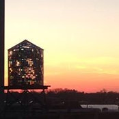 Laura Amin's photo