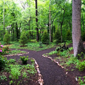 Woodland Wonder