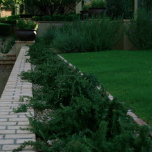 Landscape Ideas