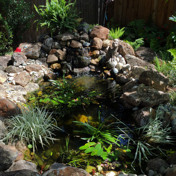 Playful, Secluded Shade Garden & Fairytale Pond