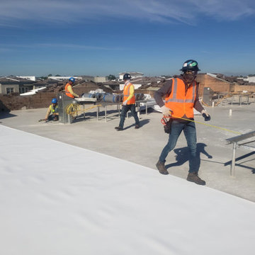 TPO Commercial Roof Replacement