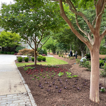 Spring and Summer Annuals Landscape Beds