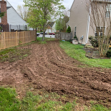 Lawn renovation