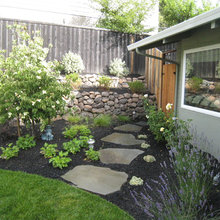 Exterior Ideas