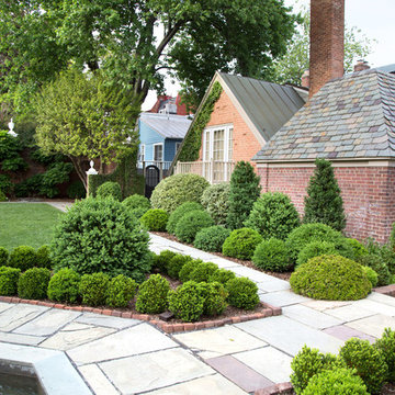 Historic Boxwood Restoration