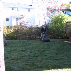 Sod Installation - After Care - Bulbs And Seeds