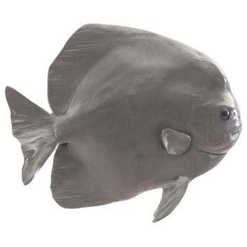 Australian Batfish, Polished Aluminum