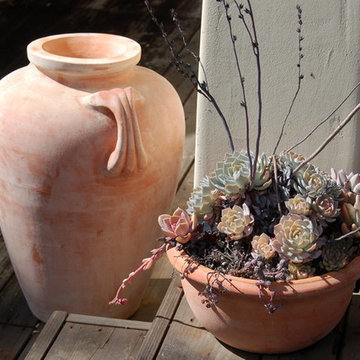 California Old Hacienda Garden