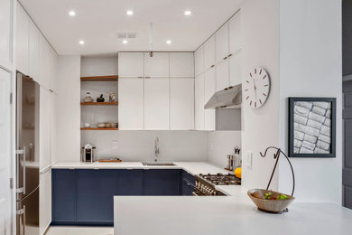 Kitchen - contemporary kitchen idea in New York