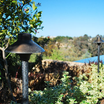 Backyard Landscape 2