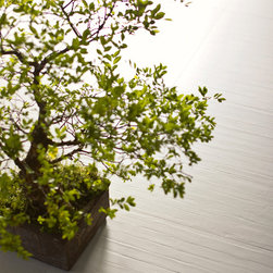 Flooring - Products