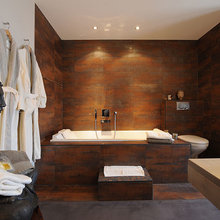 Basement spa-like bathroom ideas