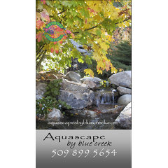 Aquascape by Blue Creek