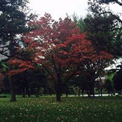 Mary Grace Pedrosa's photo