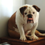 sand witko's photo