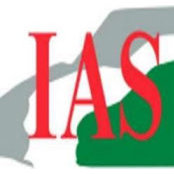 Intell Auto Service's photo