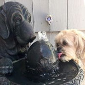Jennifer Boujoukos's photo