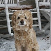 Todd Roth's photo