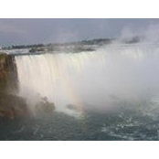 Martha Palomar's photo