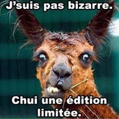 Alexandre Saba's photo