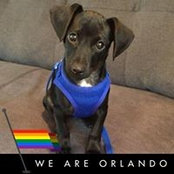 Peter Cegelka's photo